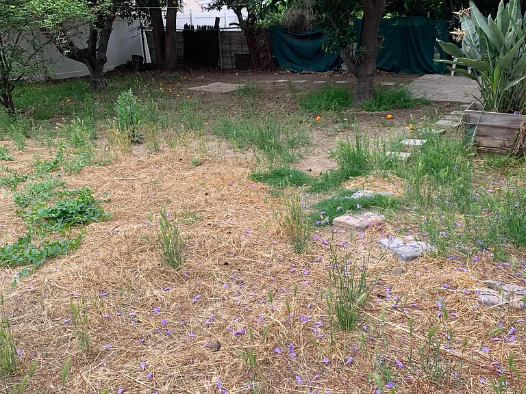 San Jose St — Photo 24