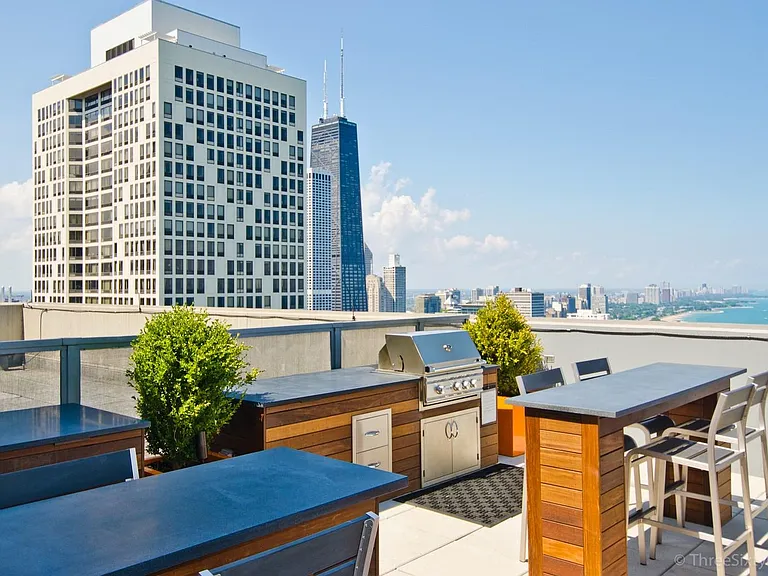 600 N Lake Shore Dr #3210 — Photo 19