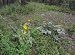 3350 Daisy Mine Rd, Rice, WA 99167