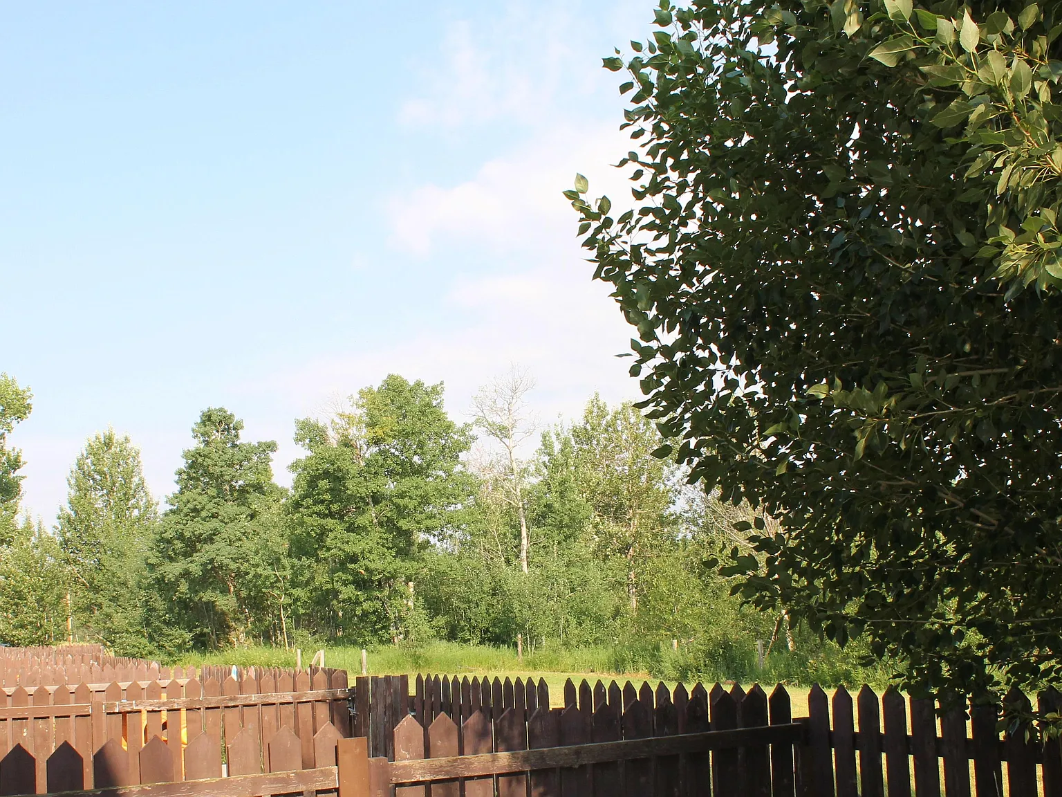 Willowbrook Townhomes — Photo 2