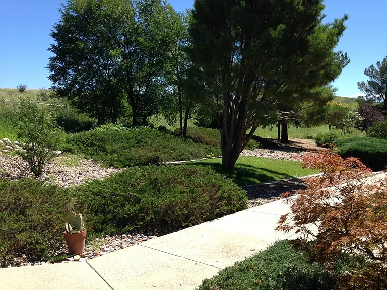 View from Front Door