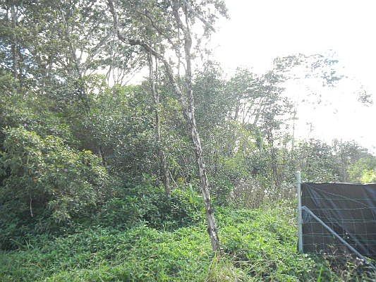 2nd image of 30th Ave Lot 388