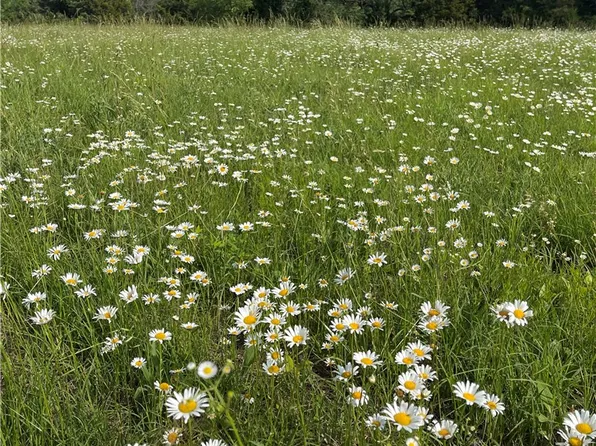 Madison #7125, Hindsville, AR 72738