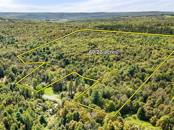 541 Blackman Hill Rd, Berkshire, NY 13736