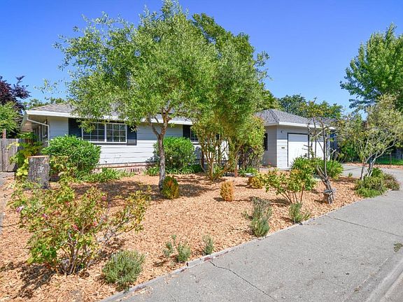 Front yard with olive trees, rose arch with trellised table grapes, rose bushes and rosemary lined.