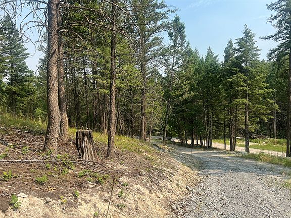 2nd image of Nhn Whitetail Xing