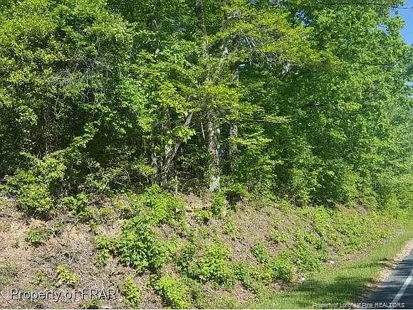 2nd image of Buie Rd