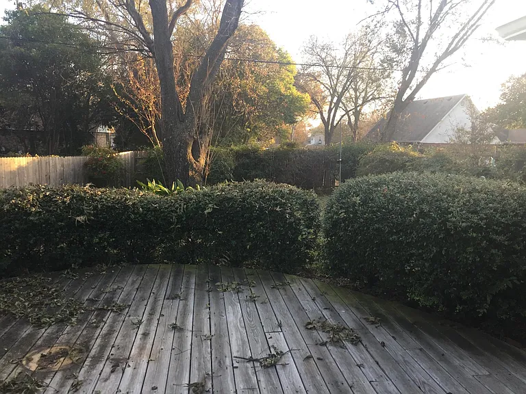 916 Sequoia Dr — Photo 6