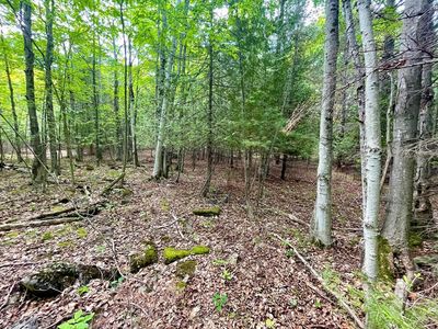 County Highway Q, Baileys Harbor, WI, 54202