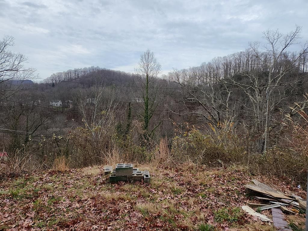 127 Jones Hill Rd, Bramwell, WV 24715 MLS 52720 Zillow