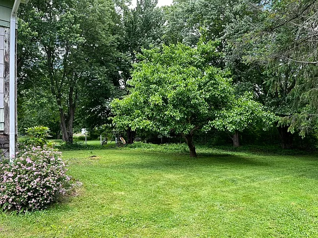 3324 Monroe Wayne County Line Rd — Photo 11