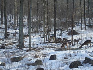 5th image of 4454 County Road 51