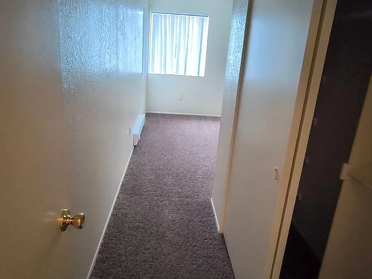 671 Sea Vale St — Photo 5