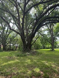 5119 N Bolton Ave #2, Alexandria, LA, 71303