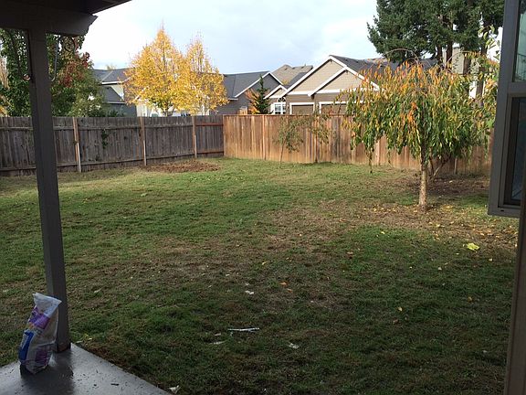 Backyard - right side