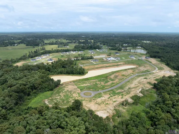 16083 Leni Dr, Prairieville, LA 70769