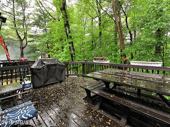 5th image of 10144 Sassafras Woods Ct