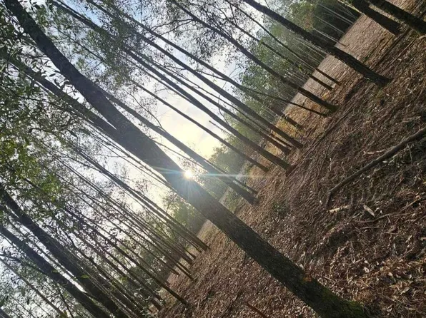 5810 Colts Crossing Ln, Milton, FL 32570