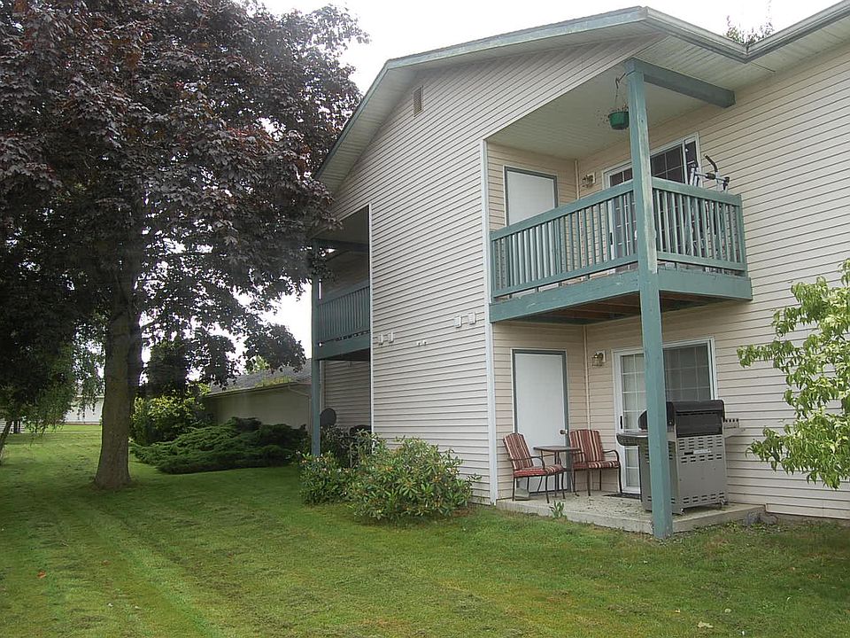 Back patio