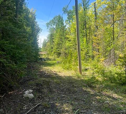5th image of E South Caribou Lake Rd