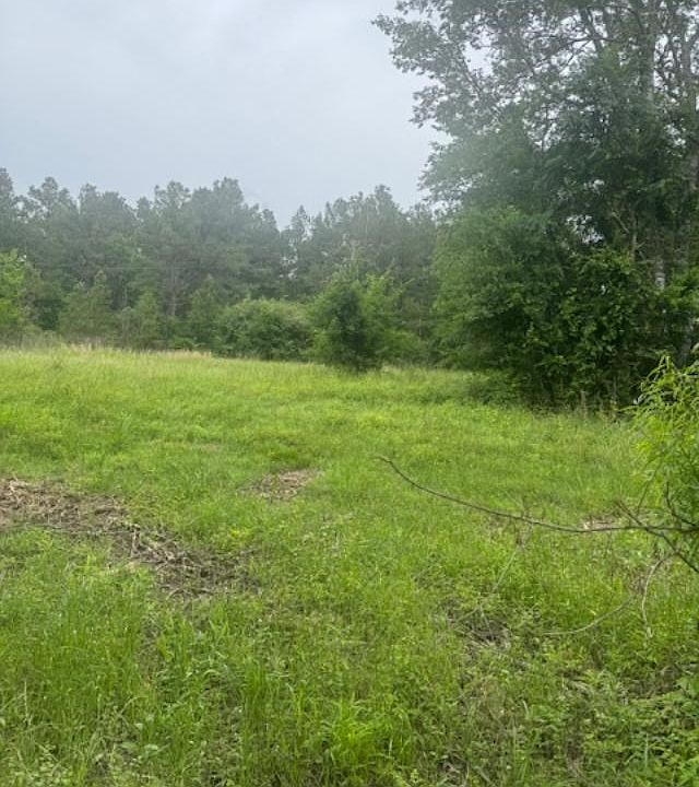 2nd image of 0 Fm 2501