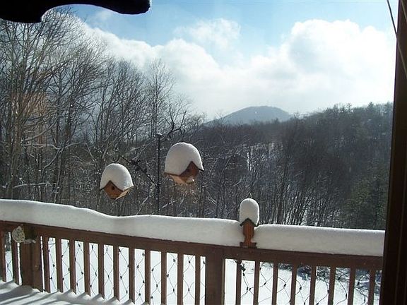 VIEW OF HOWARDS KNOB