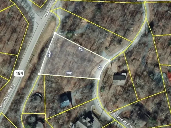 106 Foxgrape Hollow Road, Beech Mountain, NC 28604