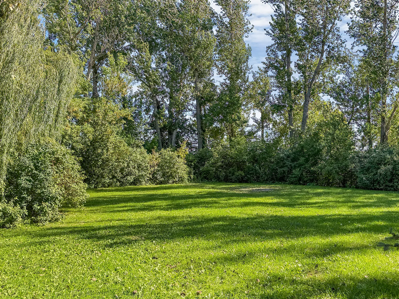 2 bed, 1948 sqft, $2,500 — Photo 4