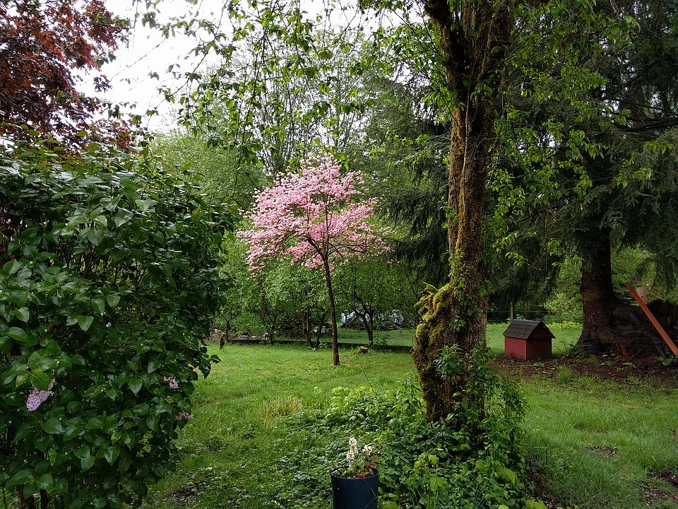 Dogwoods,maples,magnolias...