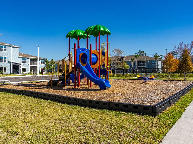 Dream Winter Haven — Photo 14