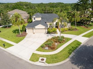 6101 Saint Remy Way, Lutz, FL 33558