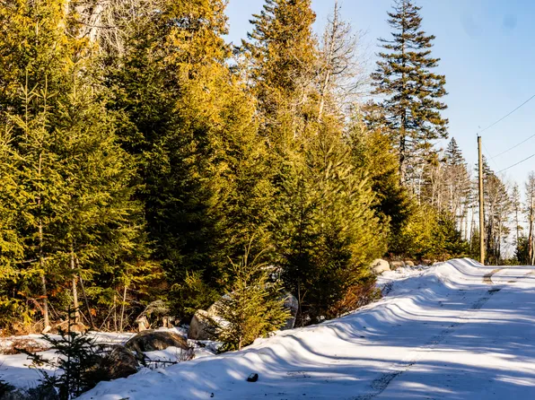 Lot 10 4R2 Pine Cone Lane, Surry, ME 04684