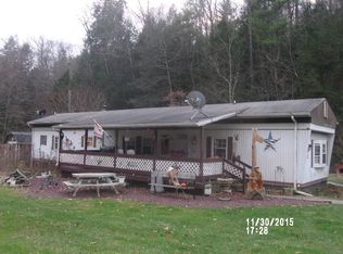 1017 Roberts Hollow Rd, Lowman, NY 14861