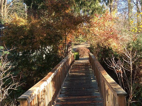 ped bridge over Swamp Creek