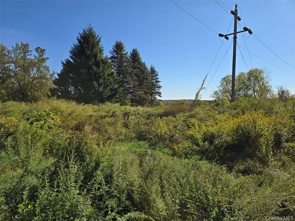 171 Winterton Road, Bloomingburg, NY 12721