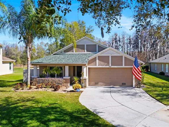 7851 Blue Spring Dr, Land O Lakes, FL 34637