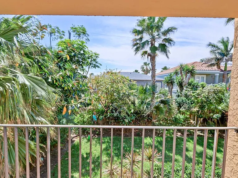 Window View