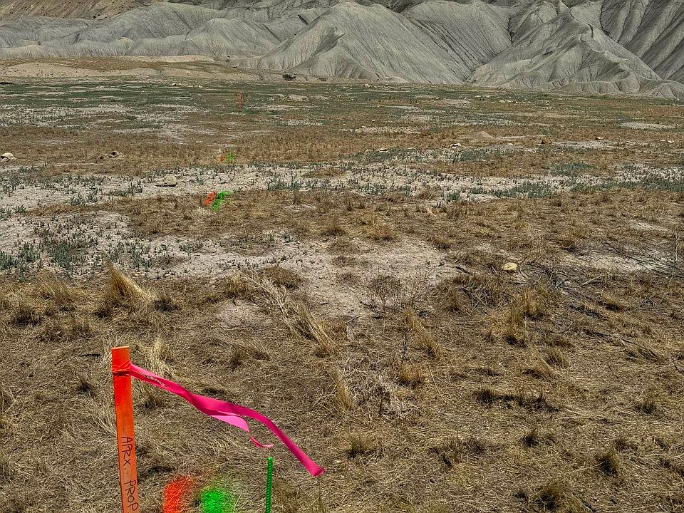 2nd image of Tbd Tbd