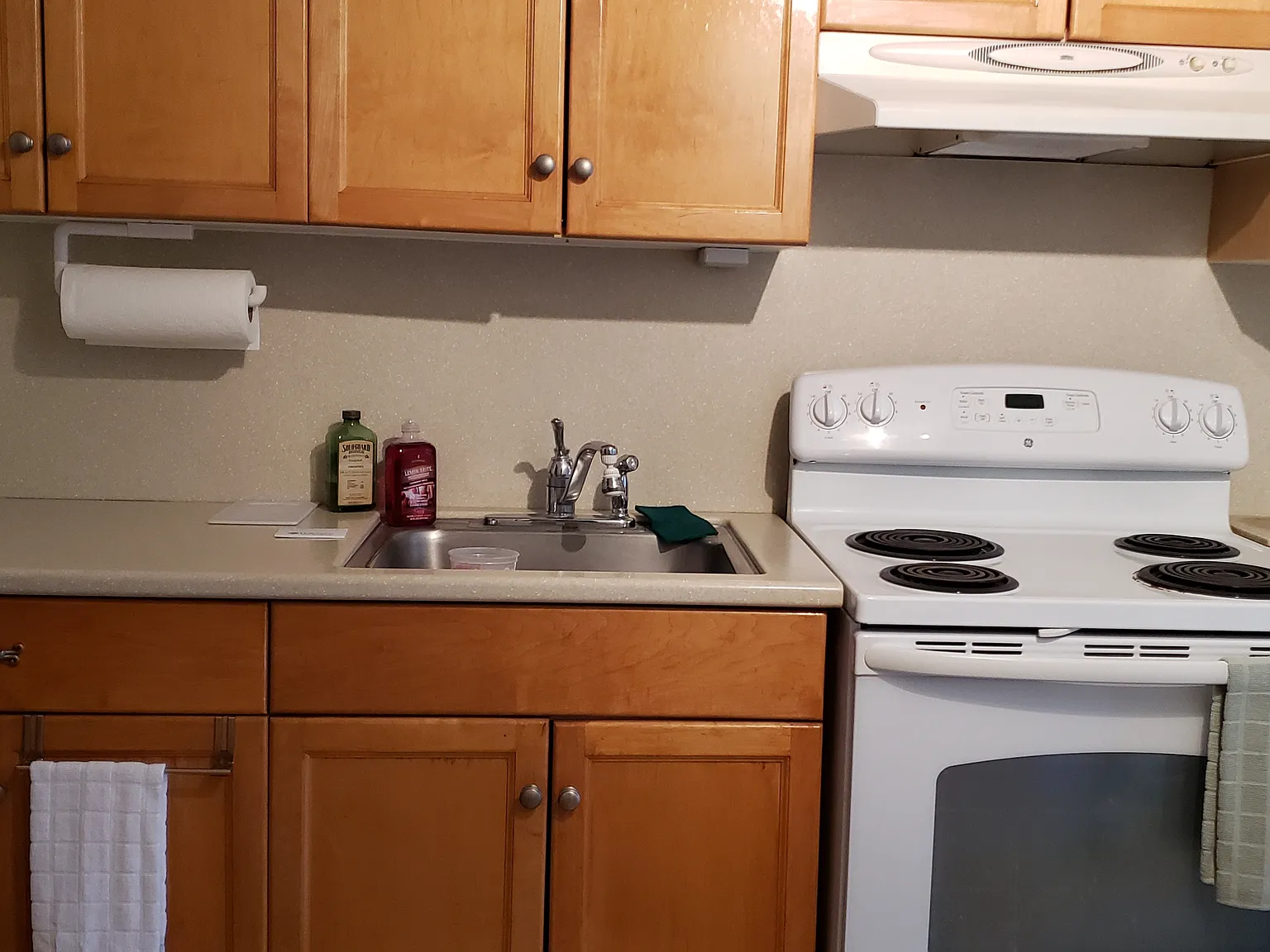 Studio, 290 sqft, $1,195 — Photo 2