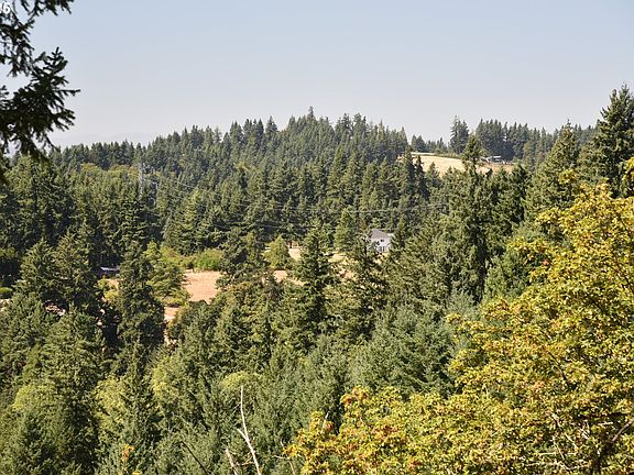 2nd image of 0 SW Mountain Rd