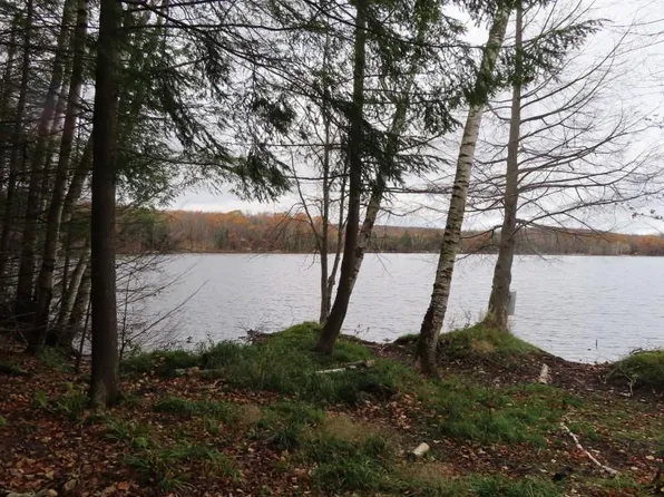 6814 Little Long Lake Ln, Wabeno, WI 54566