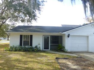 125 N Rhodes St, Mount Dora, FL 32757