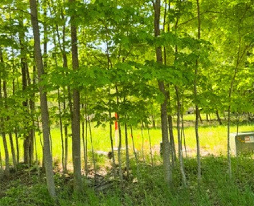 2nd image of Loomis Rd
