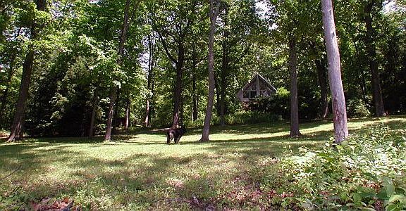 From the front lawn
