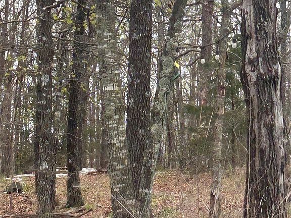 3rd image of 7689 Madison St Lot 37-37-2340