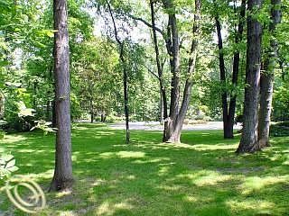 5th image of 1534 Sodon Lake Dr