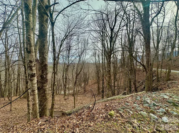 Alpine Dr #21-22, Banner Elk, NC 28604