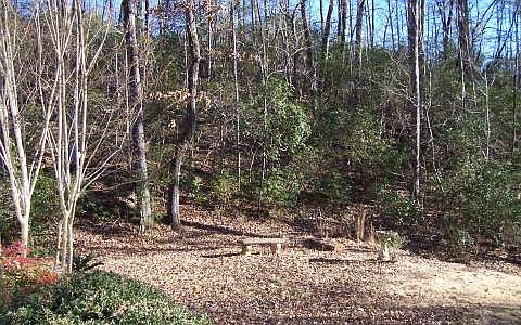 5th image of 369 Goshen Creek Xing