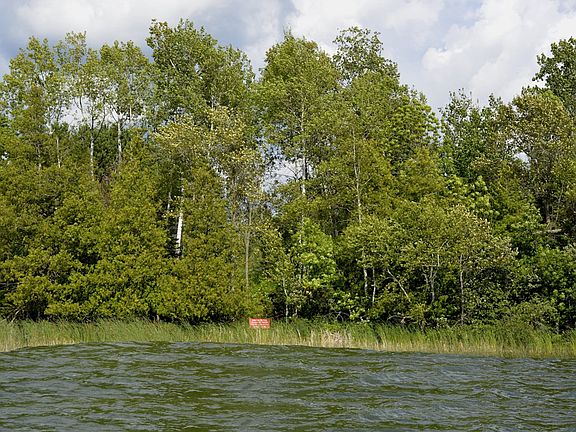 View from water - Summer