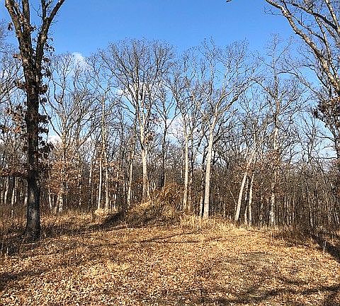 3rd image of E Lost Woods Ln